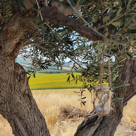Casa Caminate - La Quercia 1 Fano